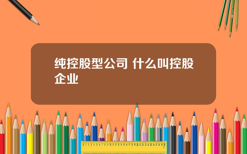 纯控股型公司 什么叫控股企业